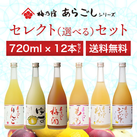 Umenoyado Sake Brewery Japanese Fruit Sake Select Set 720ml x 12 bottles