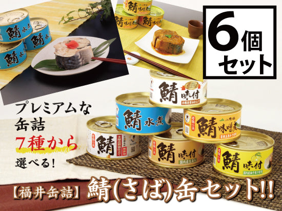 福井缶詰　7種類から選べる！鯖（さば）缶6個セット　鯖缶　マーメイド印