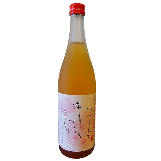 Ikeda Sake Brewery Plum Wine Kumo no Koi 720ml Bottle Maizuru Local Sake