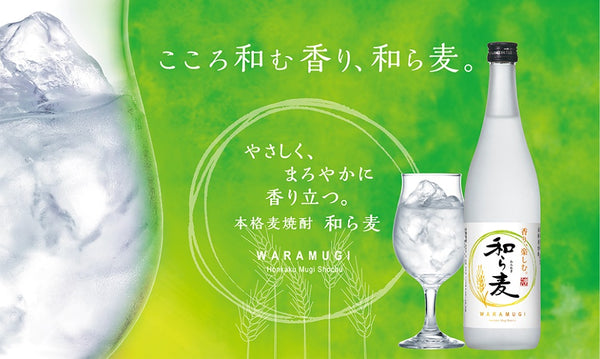 [Sapporo Beer] 25° Barley Shochu Wara Mugi 720ml