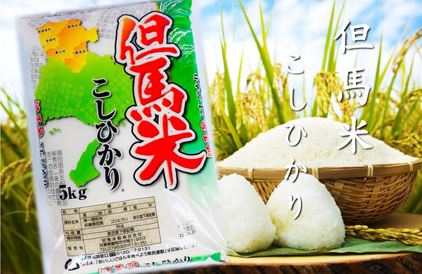 [Tajima Rice Co., Ltd.] Tajima Rice Koshihikari 5kg Made in Tajima, Hyogo Prefecture Ordered product Rice White rice