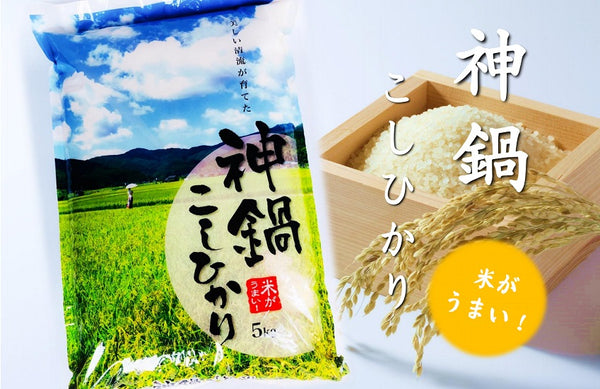 [Tajima Rice Co., Ltd.] Koshihikari Koshihikari 5kg Made in Tajima, Hyogo Prefecture (Kami-nabe) This is an ordered product Rice White rice