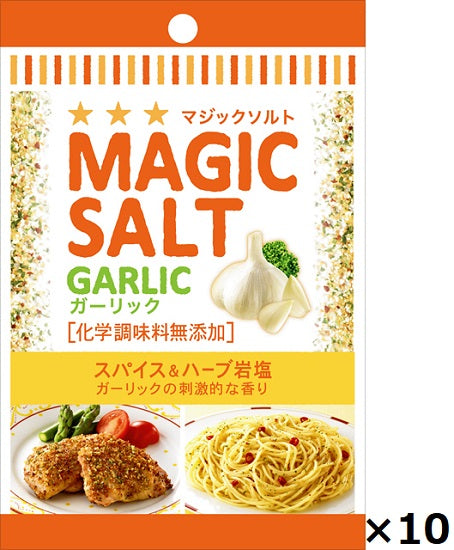 SB magic salt bag <<Garlic>> 20g x 10 pieces
